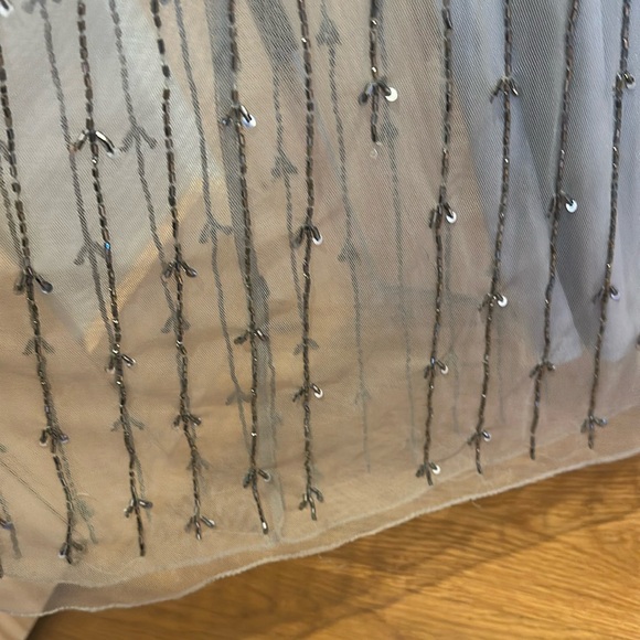 Pisarro Nights Gray Beaded Gown - Picture 12 of 13